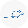 Mice Exterminators In Axminster